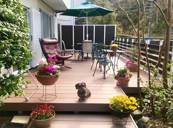 全体計画と建物の調和