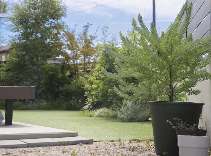 四季を感じる植栽計画