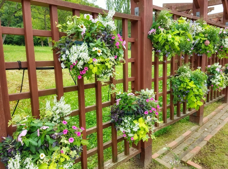 植栽(ガーデニング)で潤いと立体感を